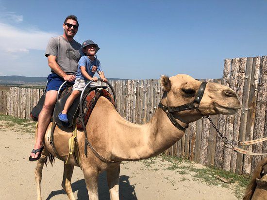 Camel Park Sunny Beach